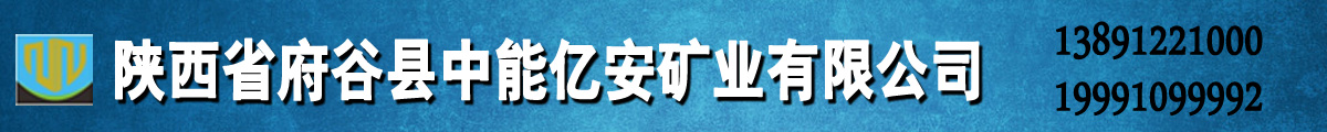 陜西省府谷縣中能億安礦業有限公司